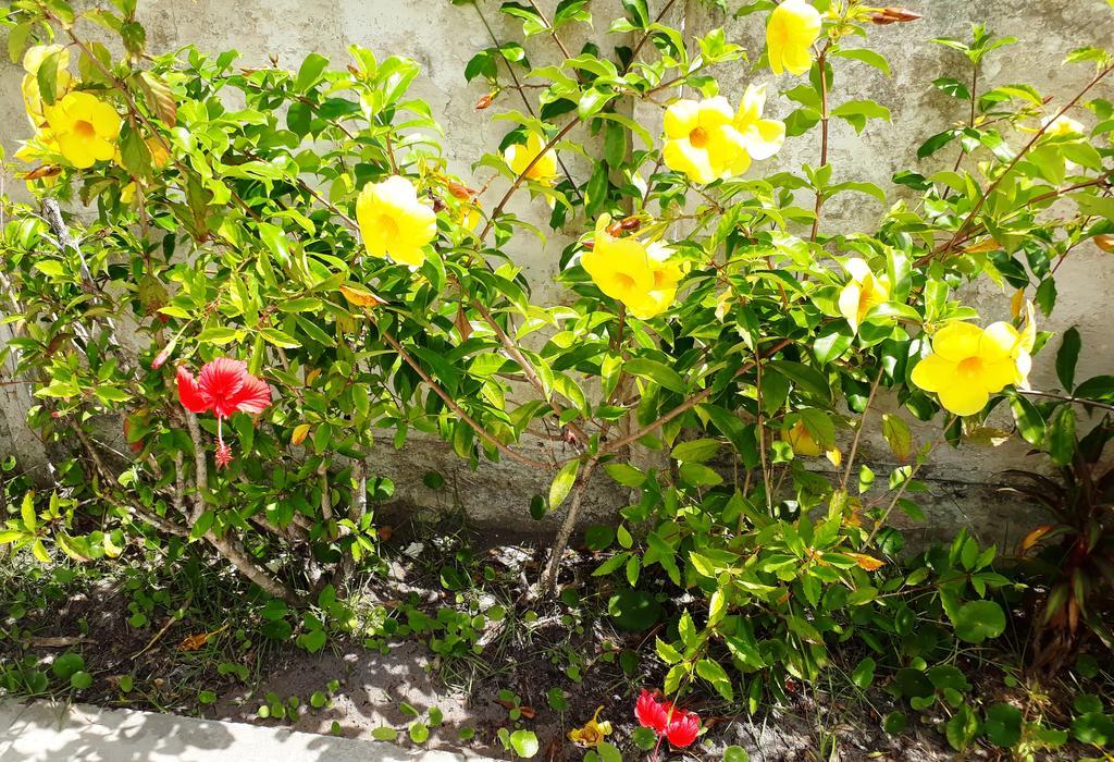 Pousada Canto Da Ilha อีลากองปรีดา ภายนอก รูปภาพ